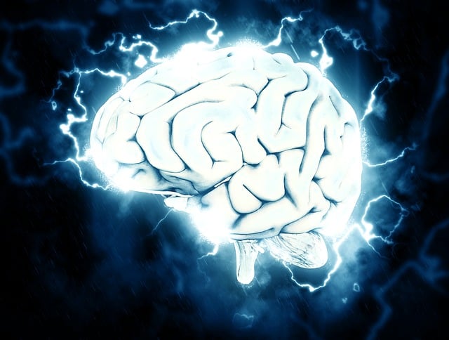 7 sentidos - cerebro