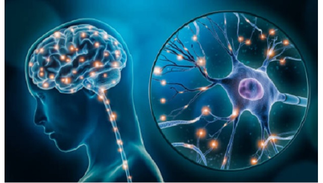 Neurotransmisores