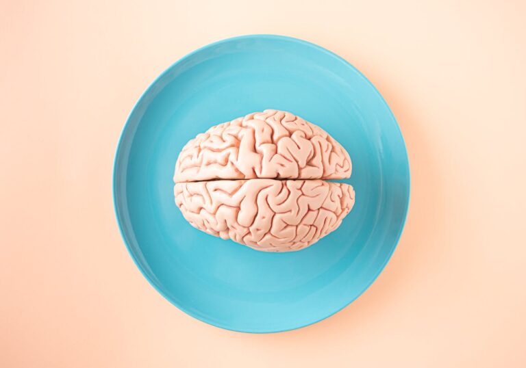 La comida puede cambiar tu cerebro