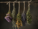 Plantas sagradas para la paz interior: Guía de usos y rituales