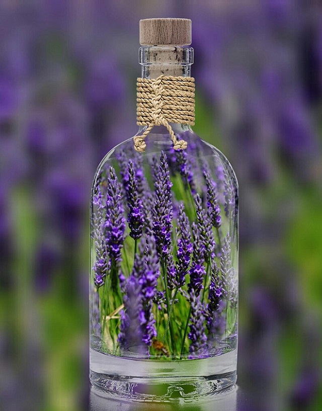 Lavanda: una infusión para calmar la mente